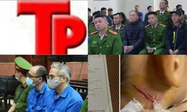 Bản tin Hình sự: Triệt phá ổ nhóm trộm cắp 30 con chó mỗi ngày