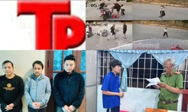 Bản tin Hình sự: Bịa chuyện bạn bị cưa chân để lừa gần 1,7 tỷ đồng