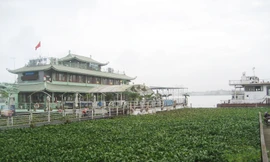 Tiếp bài: “Bất cập hồ Tây”: Còn bị chiếm dụng và ô nhiễm