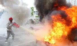 Ảnh chỏ mang tính minh hoạ