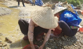 Người dân đãi vàng ở khu vực mỏ vàng Minh Lương.