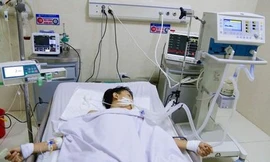 Nạn nhân bị rắn cắn sau 10 ngày điều trị đã bình phục.