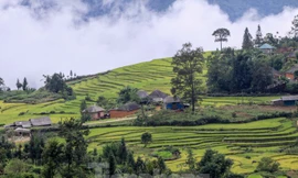 Vùng núi cao Ý Tý với nhiều tiềm năng du lịch chưa được khai phá.