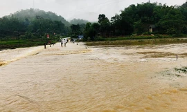 Mưa lớn khiến nhiều khu vực ở Yên Bái ngập sâu trong nước.