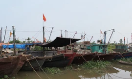 Gần 4 nghìn tàu, thuyền về nơi trú ẩn