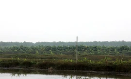 Kiến nghị Bộ Tài nguyên hướng dẫn giao đất cho ông Vươn