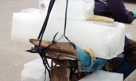 Xe chở nước gạo cho lợn thành xe vận chuyển đá cây