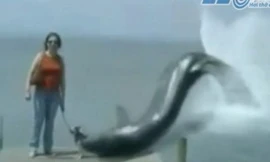 Thủy quái lên bờ, nuốt trọn chú chó con