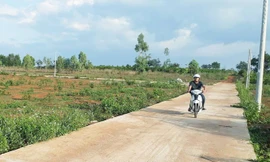 1.523 thửa đất tại TP Pleiku bị phân lô bán trái quy định