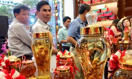 Người dân tỉnh Kon Tum đến xem các sản phẩm từ sâm Ngọc Linh