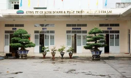 'Sờ gáy' 6 doanh nghiệp nhiều sai phạm sử dụng đất công