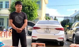 Đối tượng Mai Kim Viên