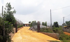 Trang trại của ông Nguyễn Đức