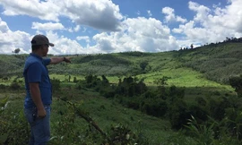 Sai phạm trong sử dụng đất rừng, Chủ tịch và Bí thư huyện bị kỷ luật 