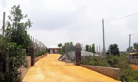 Trang trại của ông Nguyễn Đức