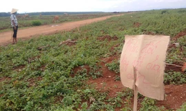 Người dân xã Ia Chim và Công ty TNHH MTV cao su Kon Tum tranh chấp 209,8 ha đất. Ảnh Hoàng Thanh