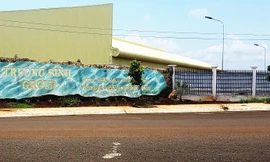 Công ty Trường Sinh