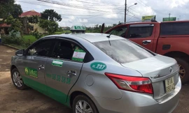 Chiếc taxi hãng Mai Linh mà tài xế Ân điều khiển