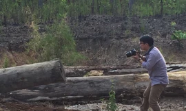 Triệu tập ông chủ bãi gỗ tại vườn quốc gia Yok Đôn