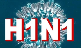 Ảnh minh hoạ; Internet