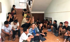 Các đối tượng đánh bạc dưới hình thức đá gà