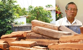 Hủy quyết định bổ nhiệm con trai nguyên Chủ tịch UBND tỉnh Gia Lai