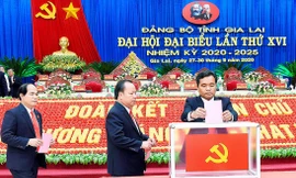 Đoàn Chủ tịch Đại hội bỏ phiếu bầu Ban Chấp hành Đảng bộ tỉnh Gia Lai lần thứ XVI. Ảnh: Đức Thuỵ
