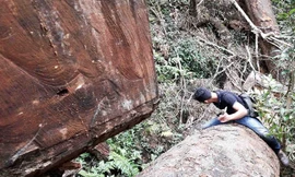 Nhiều vụ việc phá rừng tại huyện Chư Păh được các phóng viên phát hiện, trình báo ngành chức năng