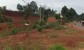 Người nhà nhiều cán bộ huyện Tuy Đức được cấp sổ đỏ trên đất quốc phòng