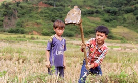 Mưu sinh dưới chân núi Ngọc Linh