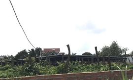 Lô đất của ông Nguyễn Văn Lành được xây kín cổng, cao tường