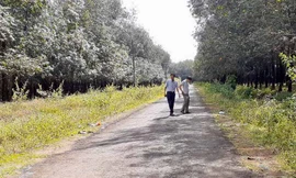 Đoạn đường liên thôn O Rang nơi xảy ra vụ tai nạn