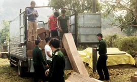 Lực lượng chức năng lập biên bản xe tải chở gỗ lậu