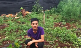 Đối tượng Khoa tại khu vườn trồng cần sa