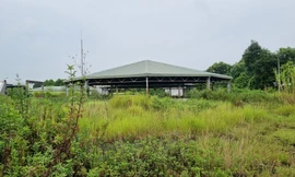 Trạm xử lý xây xong ‘đắp chiếu’, nước thải khu đô thị đen kịt kênh mương