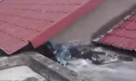 Hiện trường vụ việc.