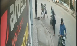 Chủ bất lực nhìn 'cẩu tặc' chích điện bắt chó ngay trước mắt 