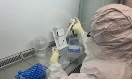 Ngày 12/7, các kỹ thuật viên xét nghiệm thuộc Trung tâm Nhiệt đới Việt – Nga đang miệt mài xét nghiệm mẫu bệnh phẩm được Trung tâm Kiểm soát Bệnh tật TPHCM (HCDC) chuyển đến.