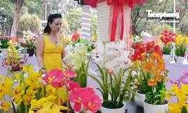 Người Sài Gòn trẩy hội hoa xuân ngắm 'kỳ hoa dị thảo'