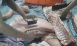 Phát hiện cơ sở giết mổ gia cầm đóng dấu kiểm dịch giả