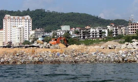 Ảnh minh họa: Nguồn: TTXVN.