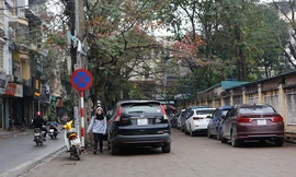 Ôtô đỗ về đâu khi vỉa hè được dẹp?