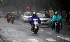 Ảnh minh họa: Internet.