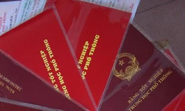 Đình chỉ sinh hoạt Đảng hiệu trưởng làm bằng cấp giả