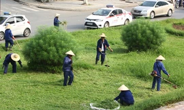 Chi phí cắt cỏ tại Hà Nội được dư luận quan tâm sau thông tin cắt cỏ 24 km đại lộ Thăng Long hết 53 tỷ đồng. Ảnh minh họa: Võ Hải.