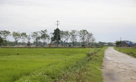 Đã làm rõ quá trình quản lý, sử dụng đất đai ở Đồng Tâm, Mỹ Đức.