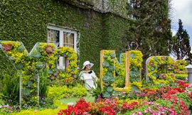 Lạc thiên đường muôn sắc hoa Sun World Ba Na Hills