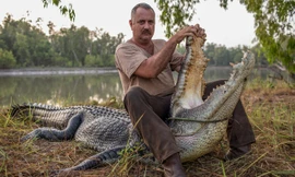 Ông Roger Matthews ngồi trên một con cá sấu 60 năm tuổi, dài 4,8 mét.