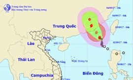 Vị trí và hướng di chuyển của bão số 8 (Ảnh: NCHMF).