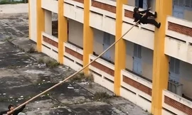 Giáo sư Mỹ lý giải kỹ thuật leo tường bằng sào tre của đặc nhiệm Việt Nam